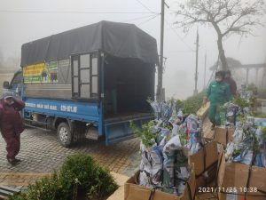 xe tải chở hàng đà nẵng giá rẻ